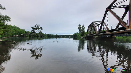 Trouve Le Pont Noir Et Les Canards Du 4 Juillet 2021 (Vue B2) 5H50