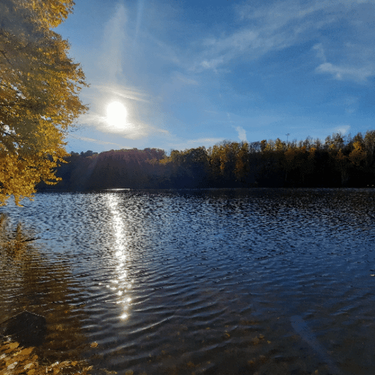 2022-10-11 Je range mon quai pour l'hiver (Vue Q5) #animation